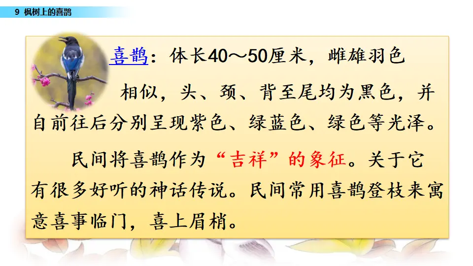 9 枫树上的喜鹊（课件3）_02.webp
