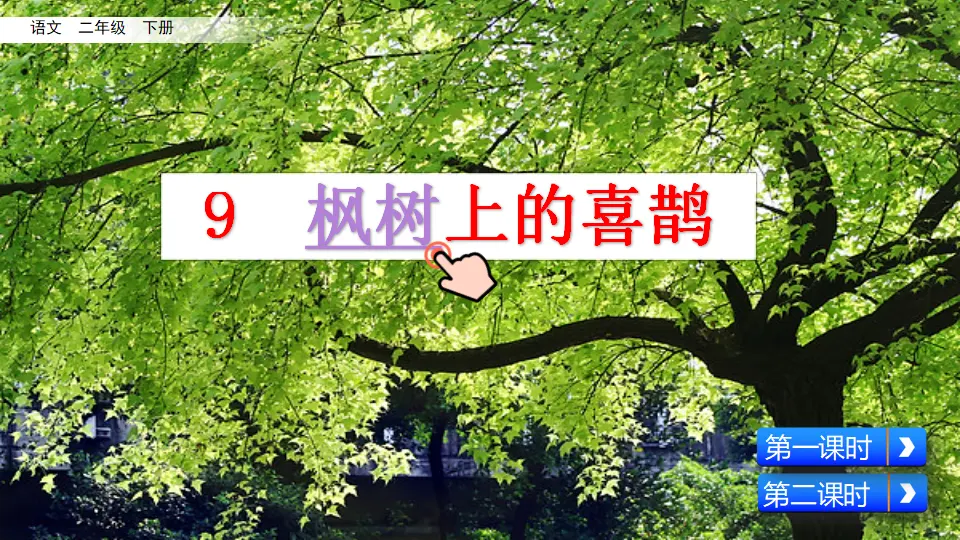 9 枫树上的喜鹊（课件3）_03.webp