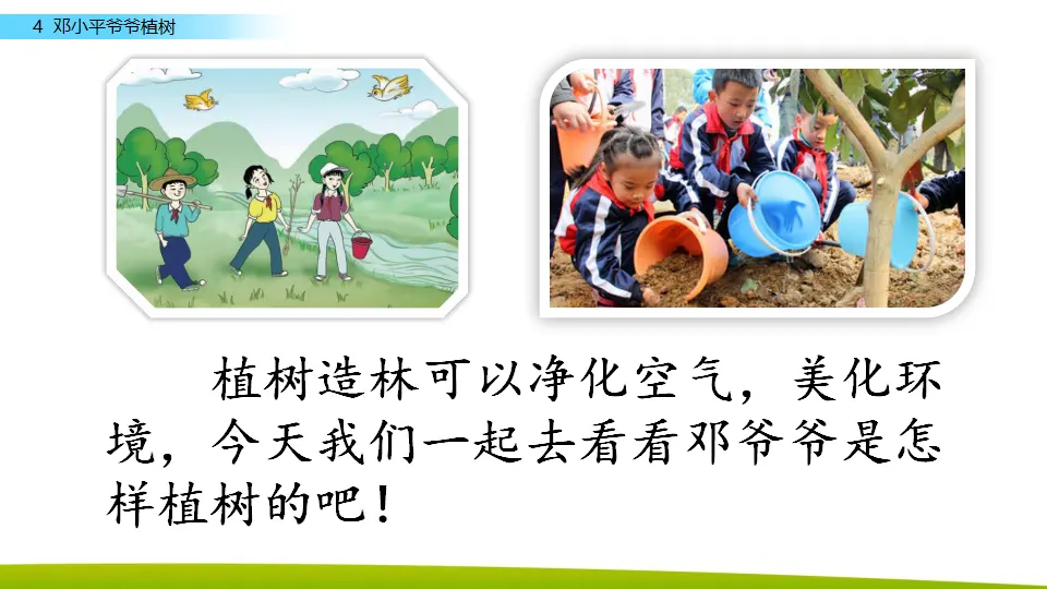 4 邓小平爷爷植树（课件3）_01.webp