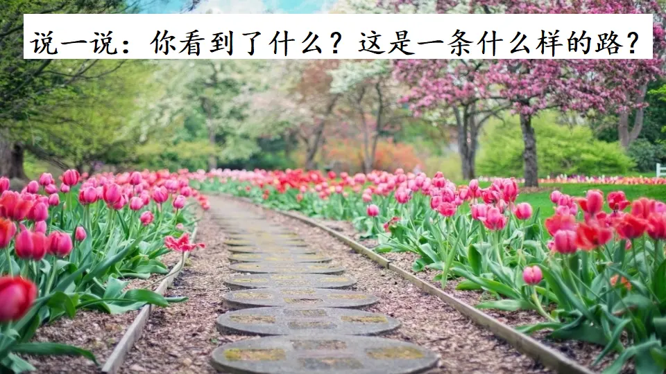 3 开满鲜花的小路（课件3）_01.webp