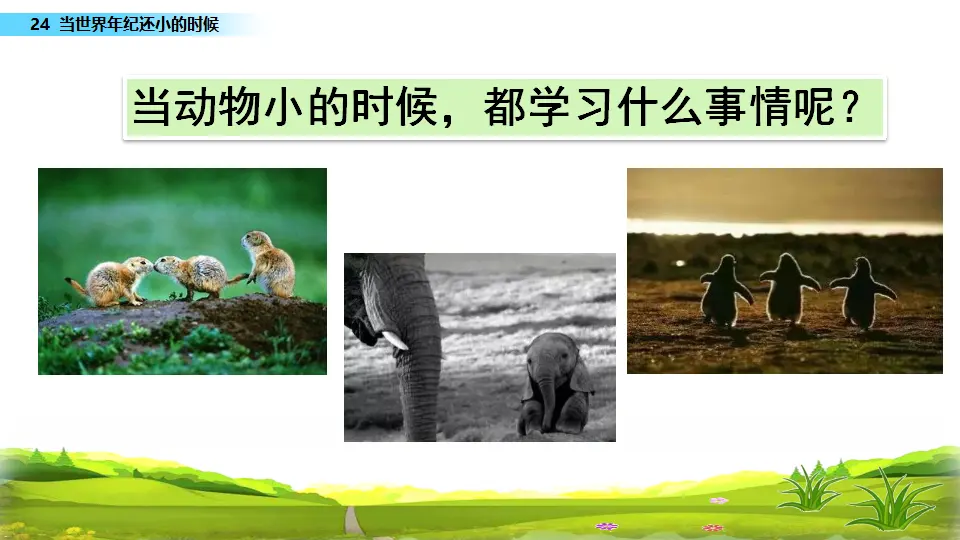 24 当世界年纪还小的时候（课件3）_02.webp