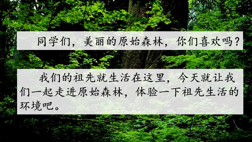 23 祖先的摇篮（课件3）_05.webp