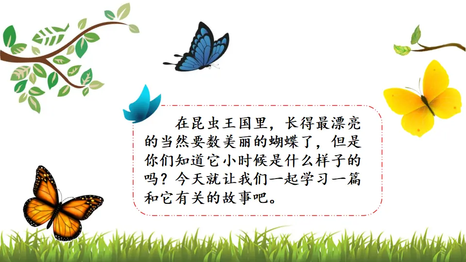 22 小毛虫（课件3）_03.webp