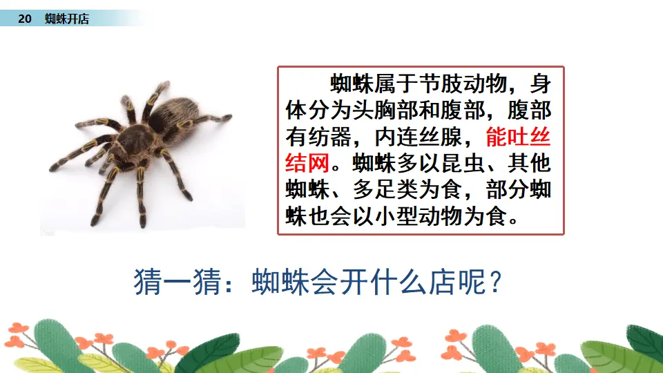 20 蜘蛛开店（课件3）_05.webp