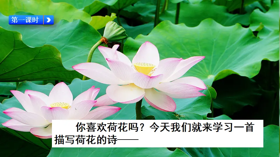 15 古诗二首（课件3）_02.webp