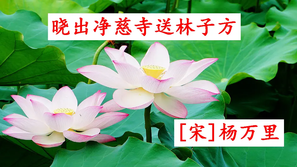 15 古诗二首（课件3）_03.webp