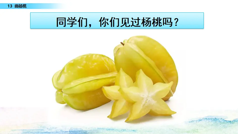 13 画杨桃（课件3）_01.webp