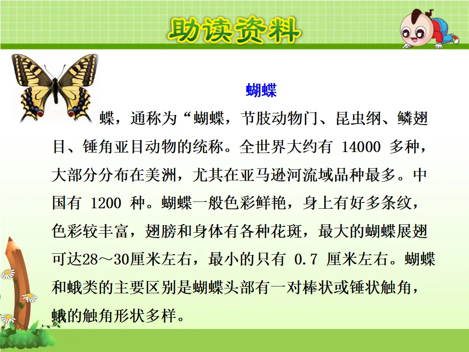 22.小毛虫【第1课时】（课件4）_04.webp