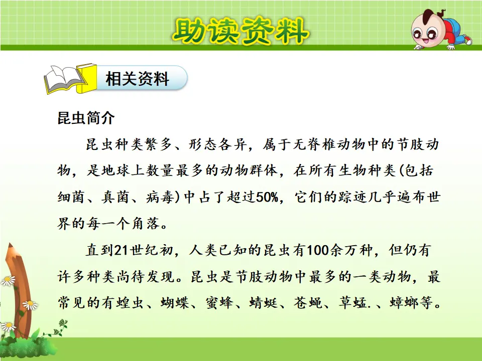 11.我是一只小虫子【第1课时】（课件4）_04.webp