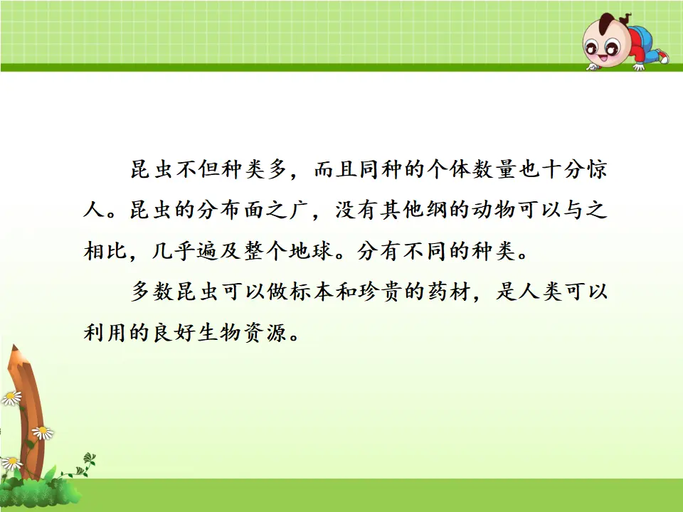 11.我是一只小虫子【第1课时】（课件4）_05.webp