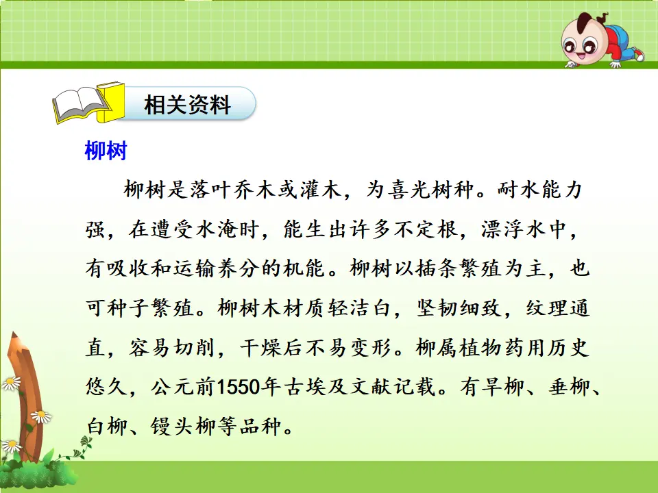 1.古诗两首—咏柳（课件4）_05.webp