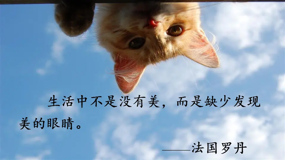 交流平台·初试身手（课件1）_02.webp