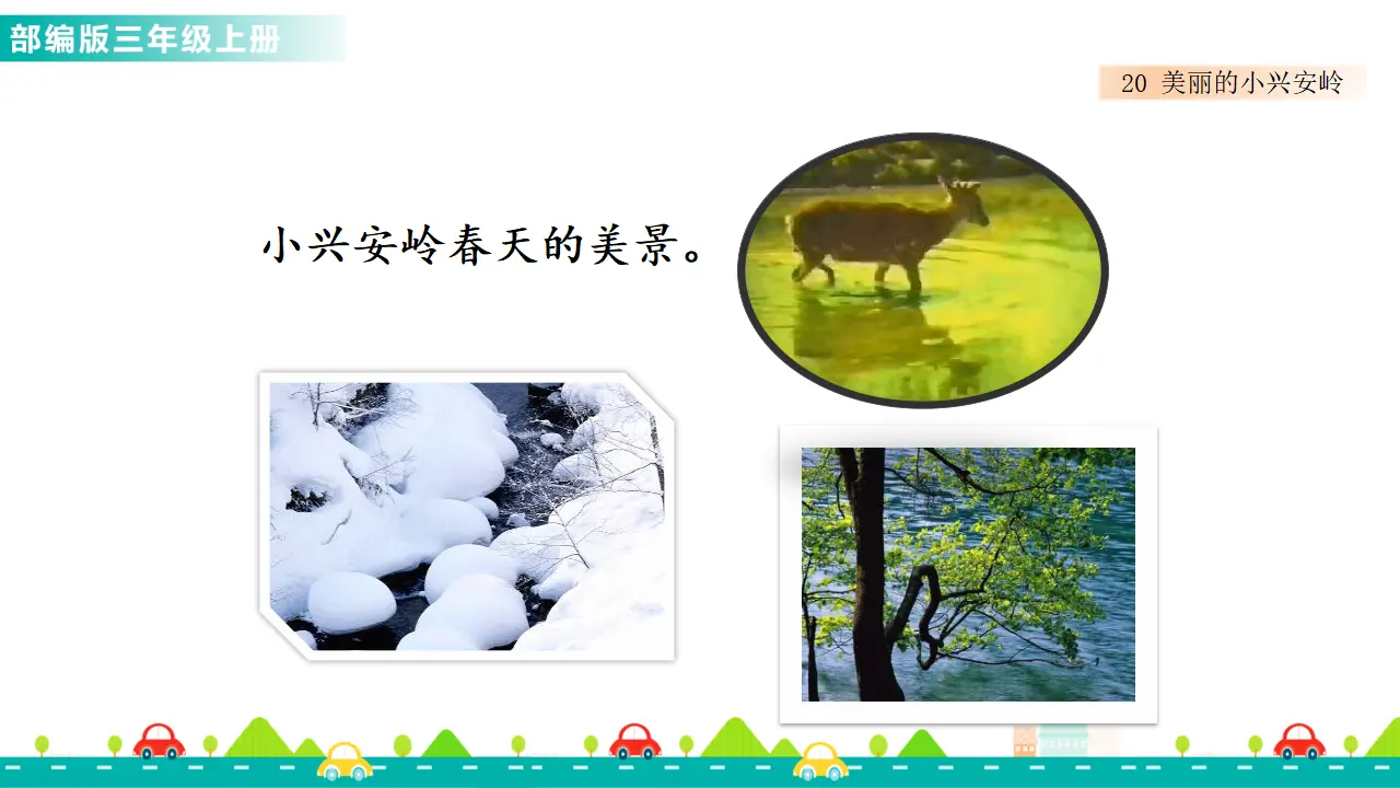 20 美丽的小兴安岭（课件1）_05.webp