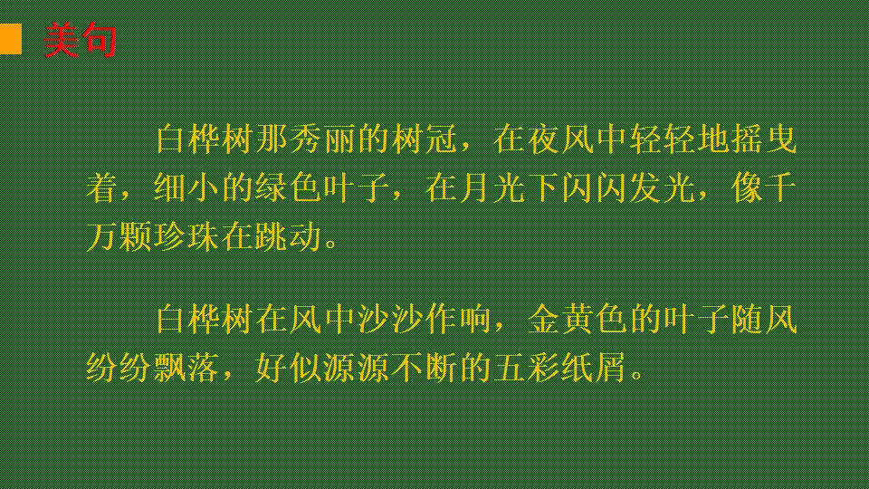 链接1：白桦树（课件2）_04.webp