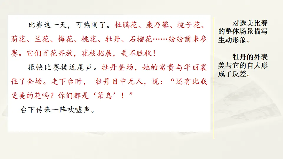 范文1：森林选美大赛（课件2）_02.webp