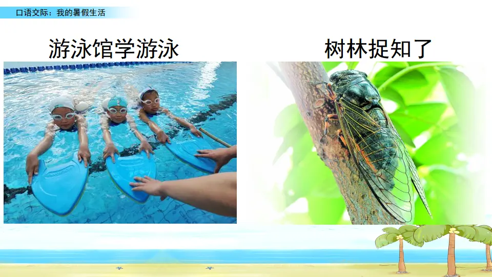 口语交际：我的暑假生活（课件2）_05.webp