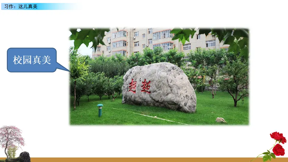 习作：这儿真美（课件2）_02.webp