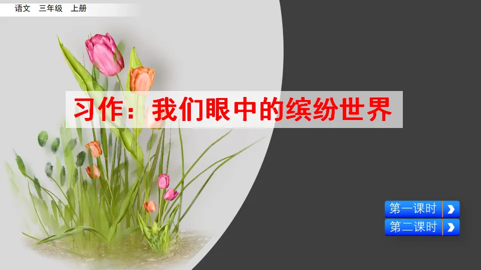 习作：我们眼中的缤纷世界（课件2）_05.webp