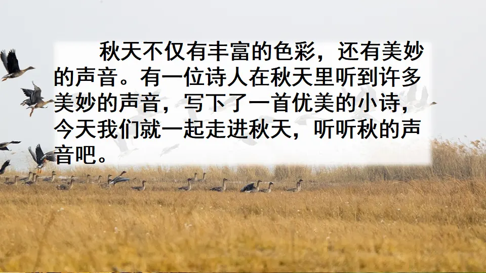7 听听，秋的声音（课件2）_01.webp