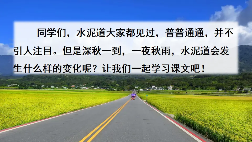 5 铺满金色巴掌的水泥道（课件2）_01.webp