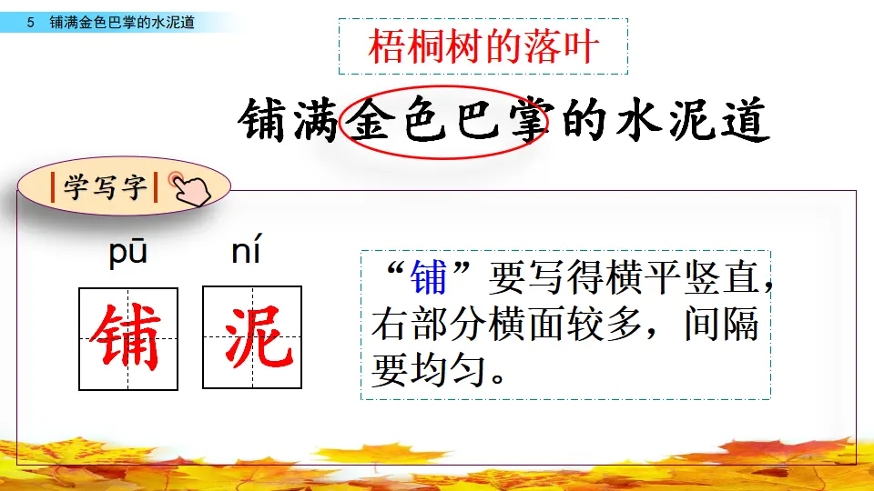 5 铺满金色巴掌的水泥道（课件2）_03.webp