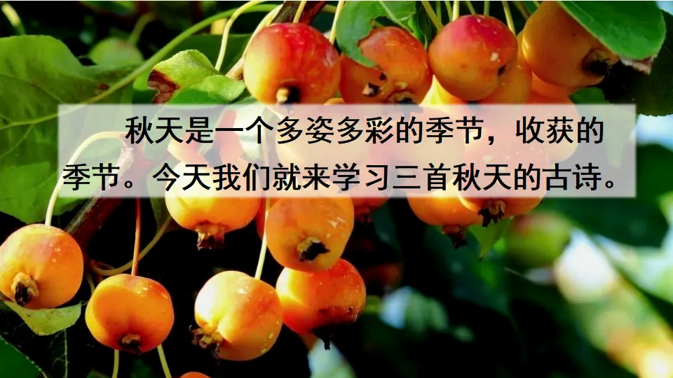 4 古诗三首（课件2）_01.webp