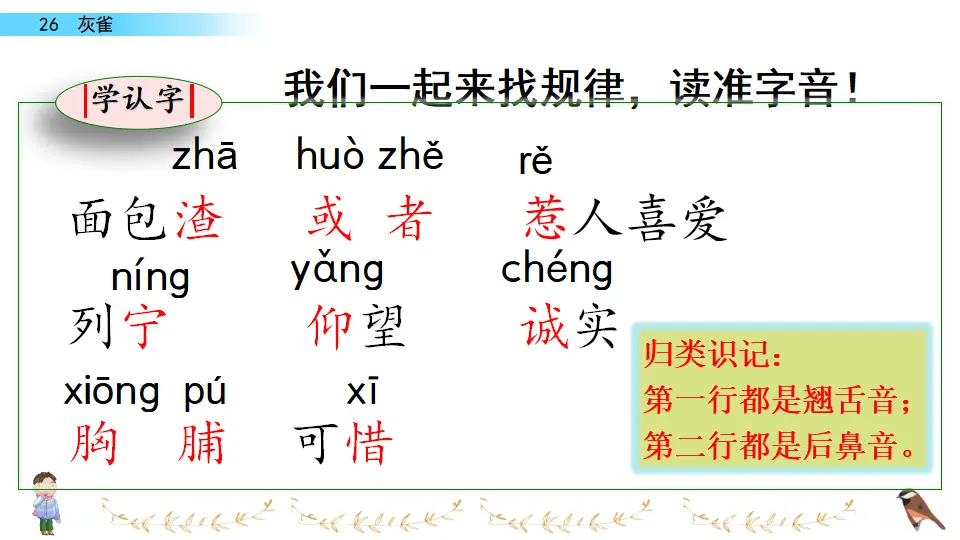26 灰雀（课件2）_05.webp