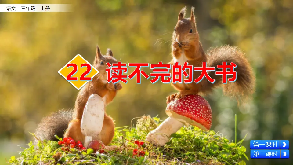 22 读不完的大书（课件2）_02.webp