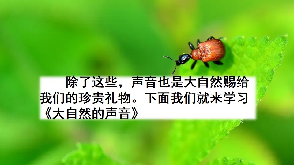 21 大自然的声音（课件2）_01.webp