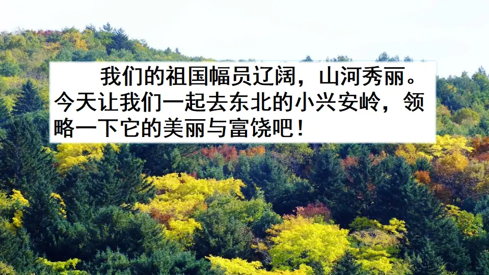 20 美丽的小兴安岭（课件2）_01.webp