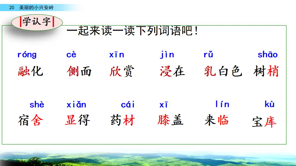 20 美丽的小兴安岭（课件2）_05.webp