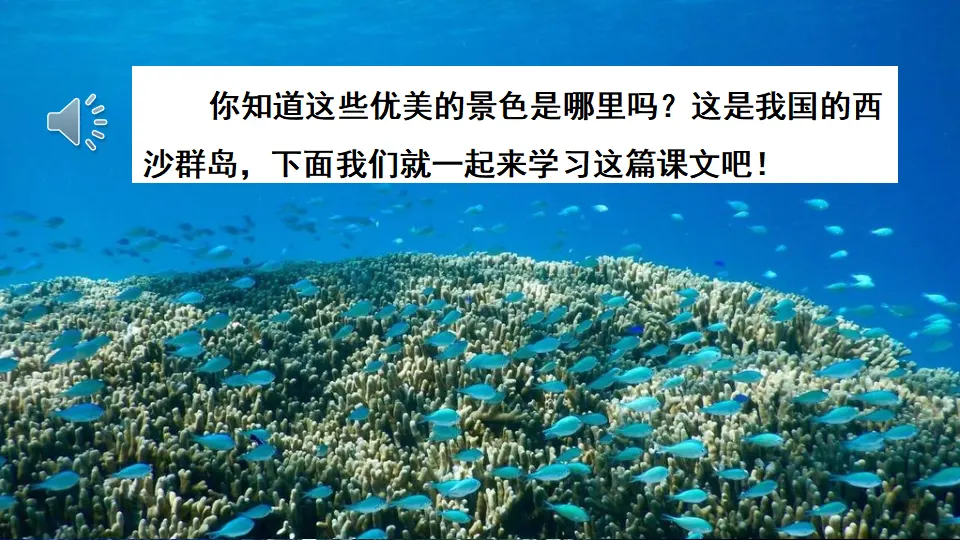 18 富饶的西沙群岛（课件2）_01.webp