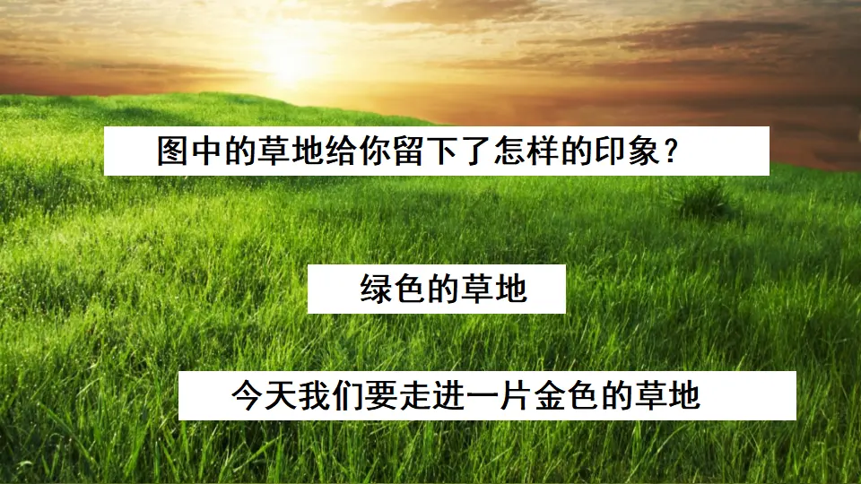 16 金色的草地（课件2）_01.webp
