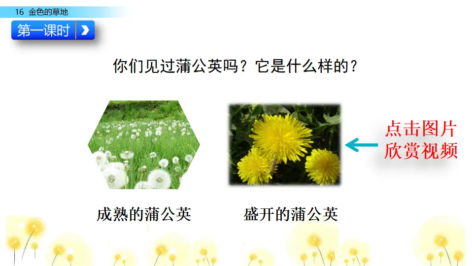 16 金色的草地（课件2）_03.webp