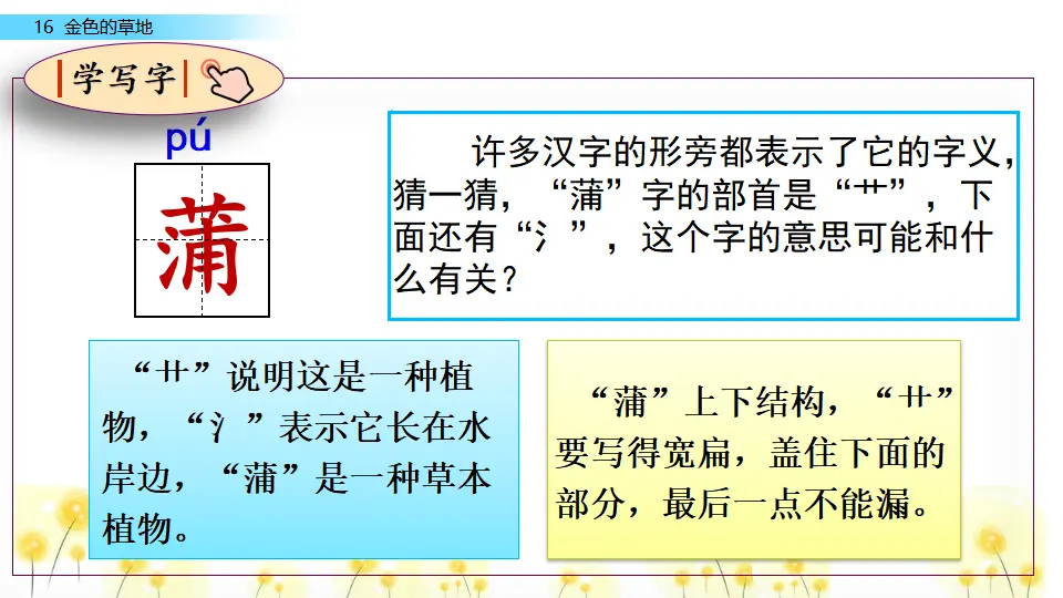 16 金色的草地（课件2）_04.webp