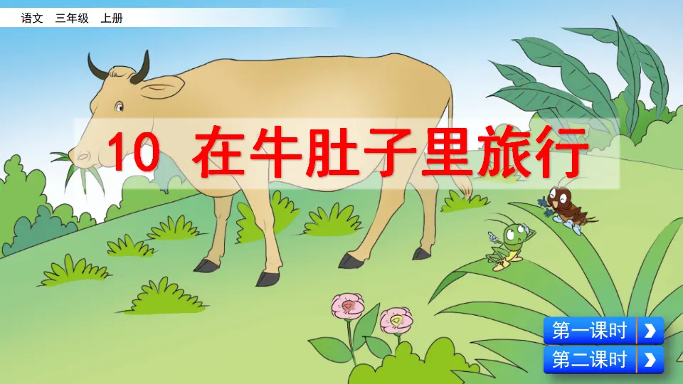 10 在牛肚子里旅行（课件2）_03.webp