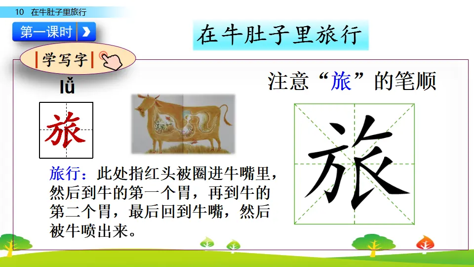 10 在牛肚子里旅行（课件2）_04.webp