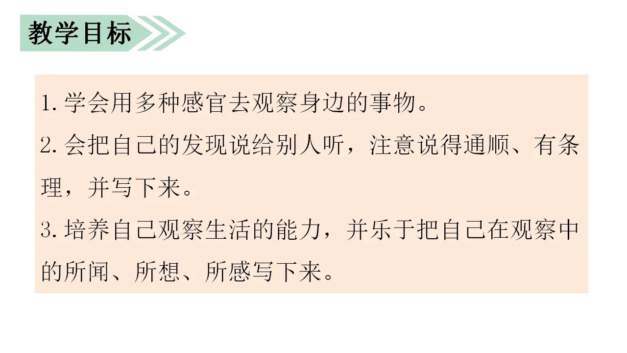习作    我们眼中的缤纷世界（课件3）_02.webp