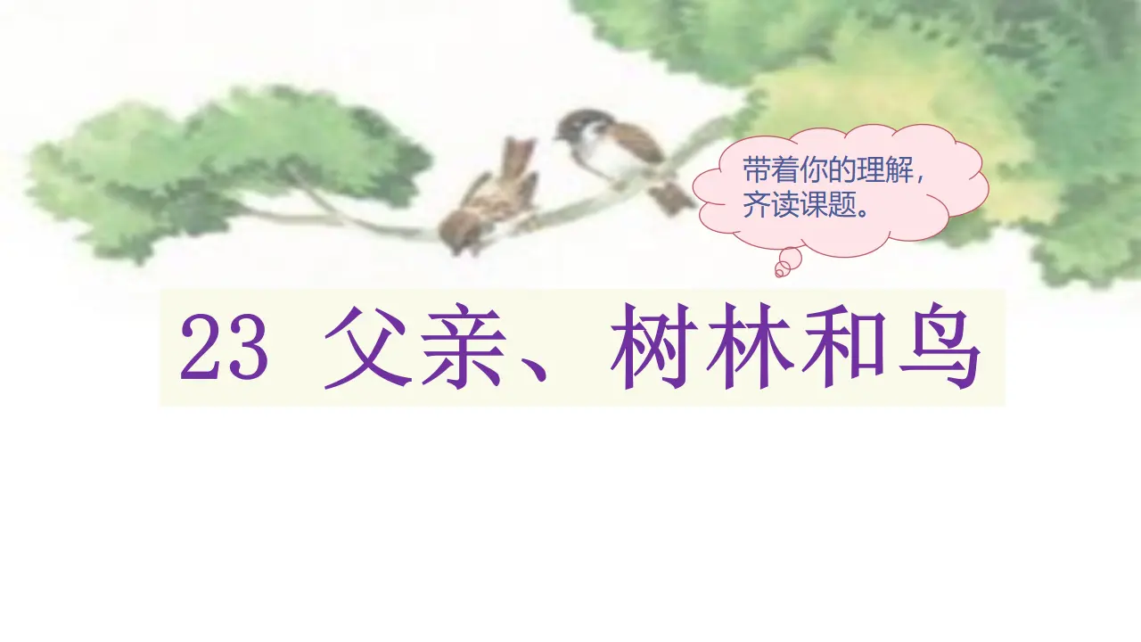 23.父亲、树林和鸟（课件3）_03.webp