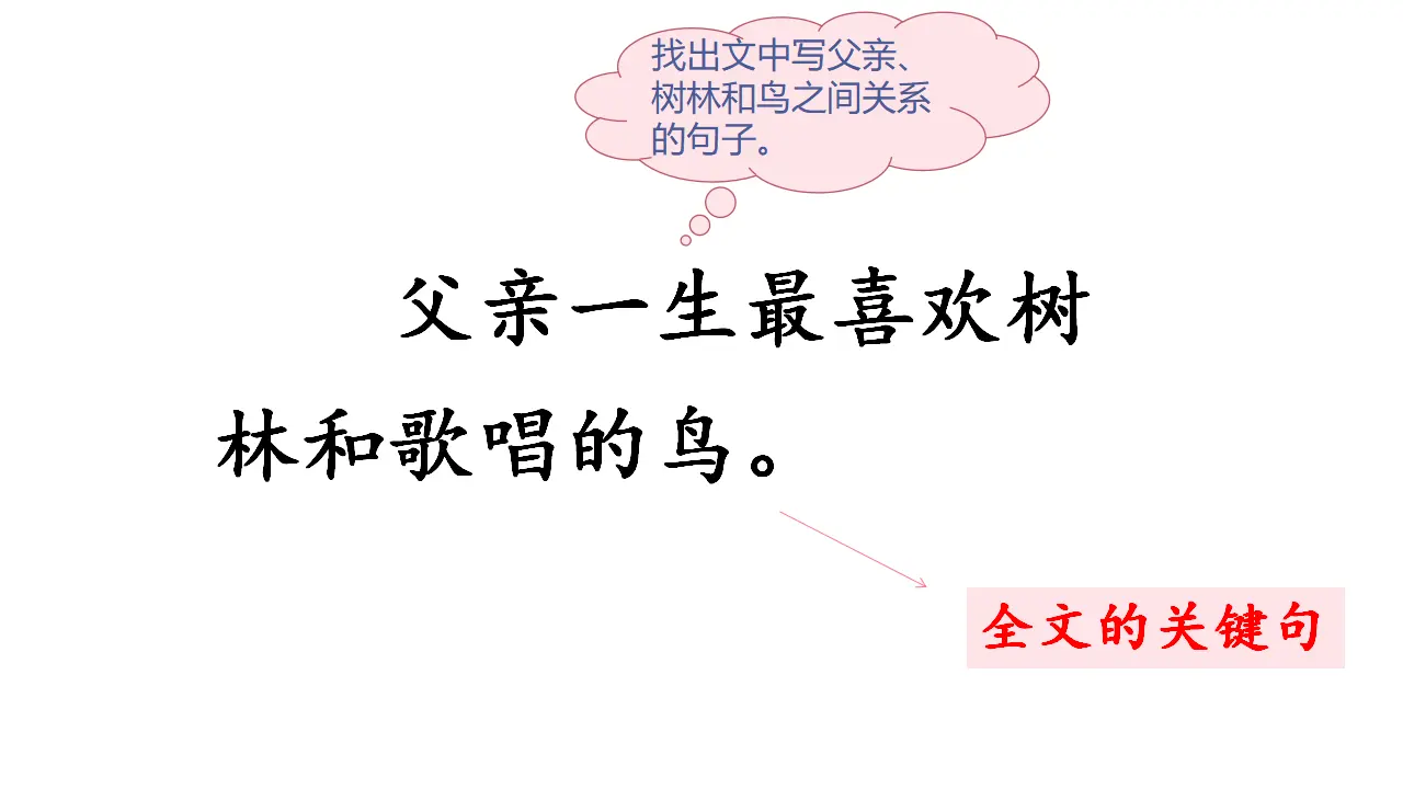 23.父亲、树林和鸟（课件3）_04.webp