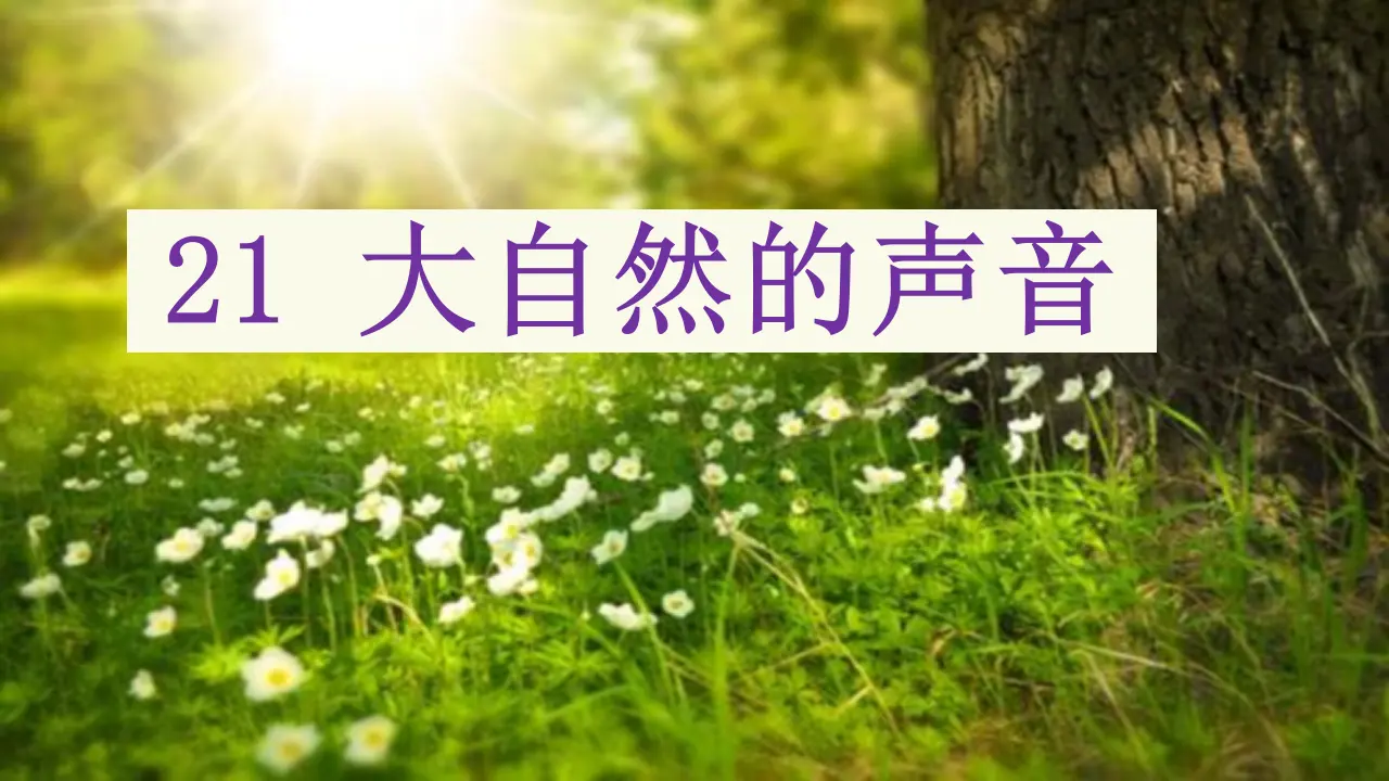 21.大自然的声音（课件3）_02.webp