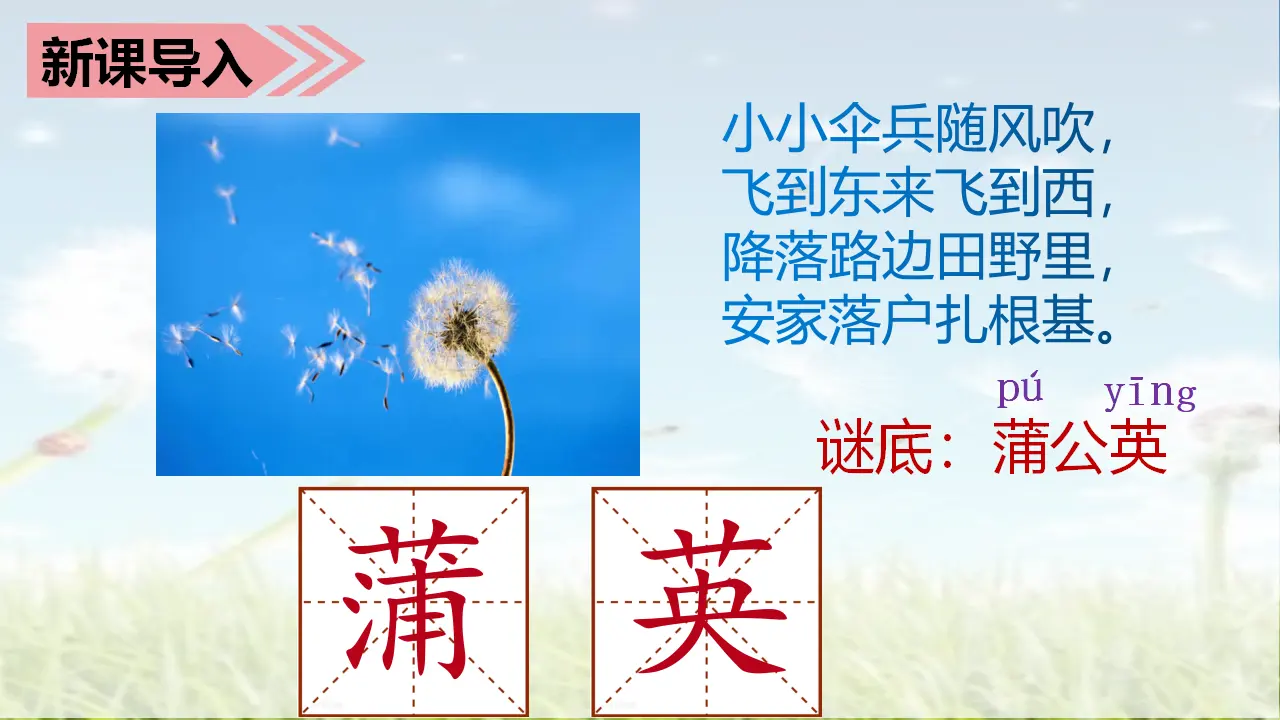 16.金色的草地（课件3）_01.webp