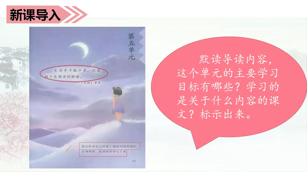 15.搭船的鸟（课件3）_01.webp