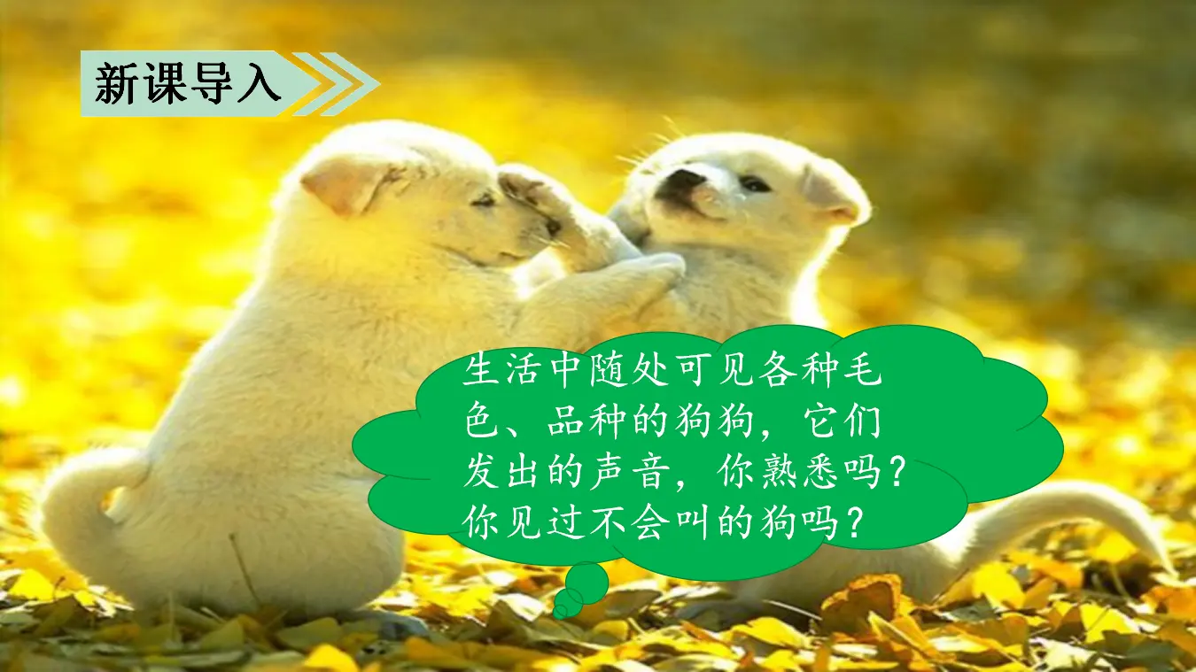 14.小狗学叫（课件3）_01.webp