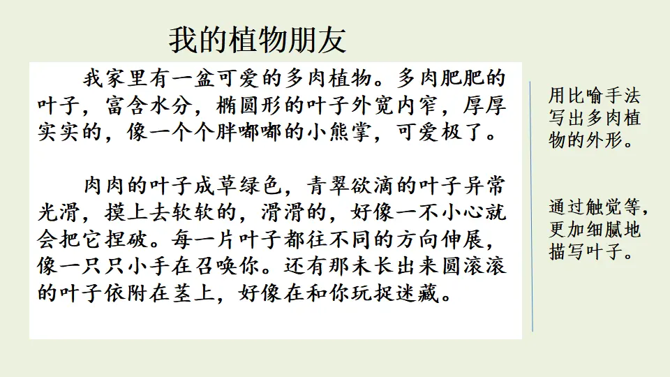 范文2：我的植物朋友（课件1）_01.webp