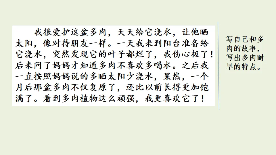 范文2：我的植物朋友（课件1）_02.webp