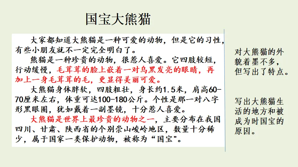 范文2：国宝大熊猫（课件1）_01.webp