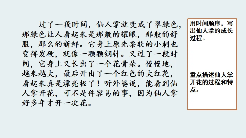 范文1：我的植物朋友（课件1）_02.webp