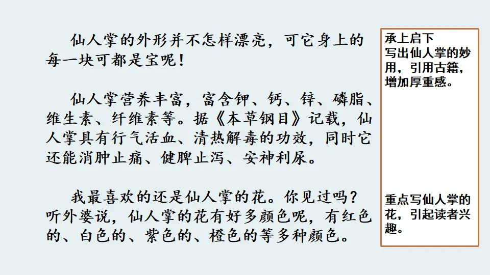 范文1：我的植物朋友（课件1）_03.webp