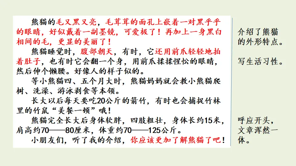 范文1：国宝大熊猫（课件1）_02.webp